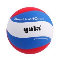 Волейбольный мяч Gala Pro-line 10