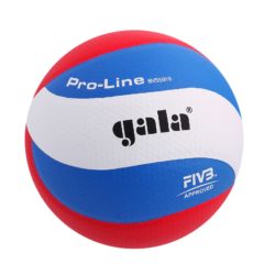 Волейбольный мяч Gala Pro-line 10 Fivb