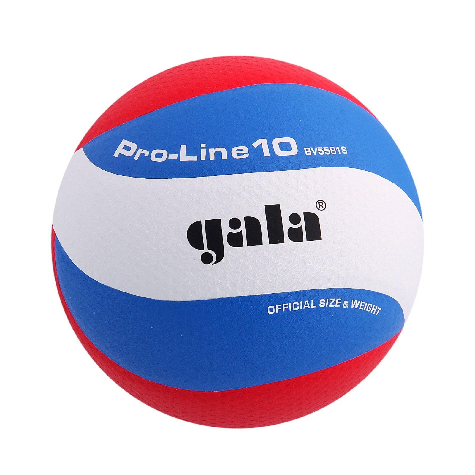 Волейбольный мяч Gala Pro-line 10